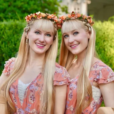 Harp Twins profile