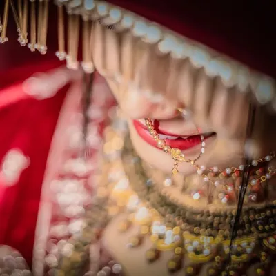 Candid photographer profile
