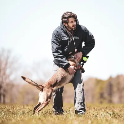 David Herbert, Professional Dog Trainer profile