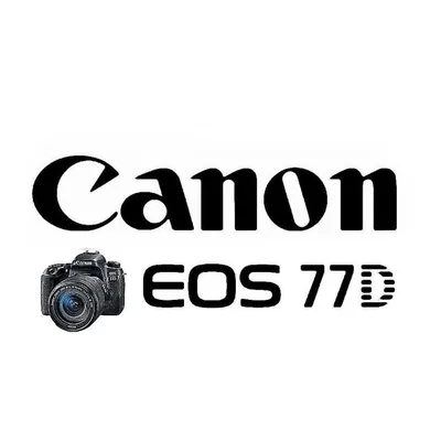 Canon eos 77d profile