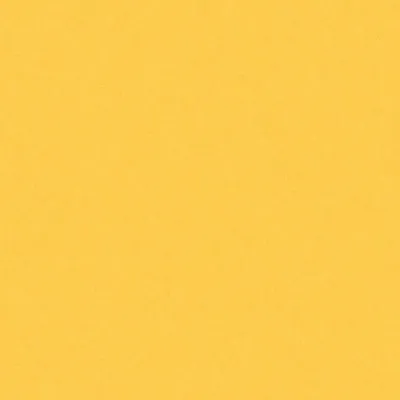 Canoopsy Media profile