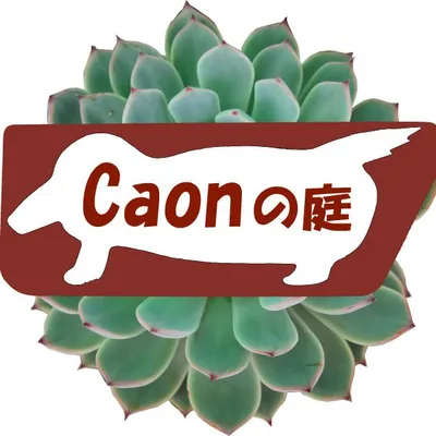 カオンの庭 profile