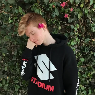 profile