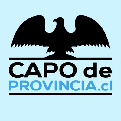 Capo de Provincia profile