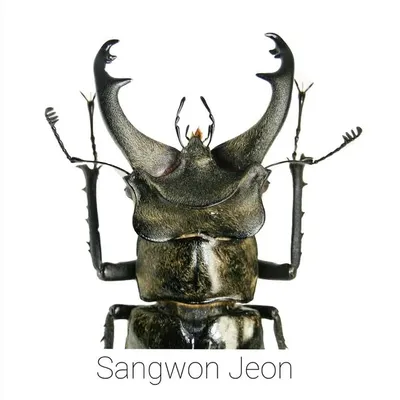 Sangwon Jeon profile