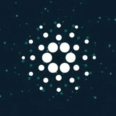 Cardano Today profile
