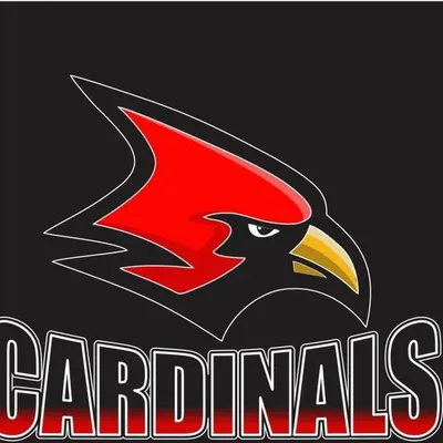 Cardinals Panama profile