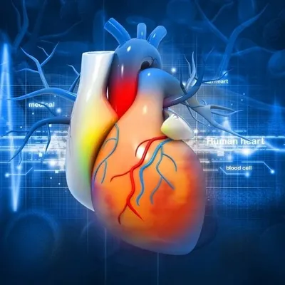 Cardiogram profile