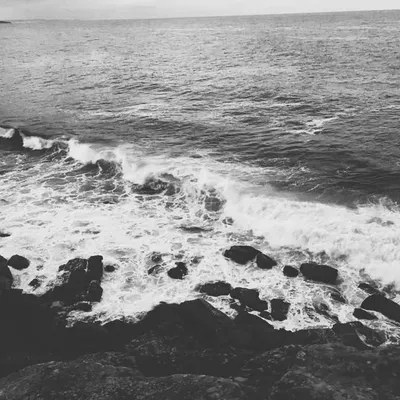 Carefree Musings profile