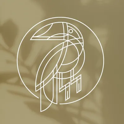 Estudio Caribe profile