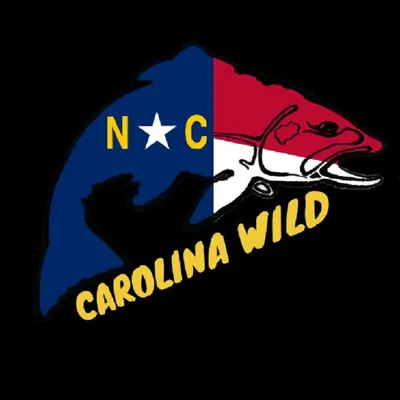CAROLINA WILD profile