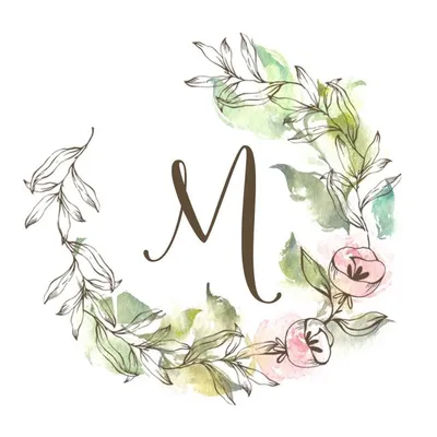 Meow Illustration profile