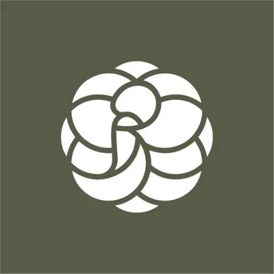 Carol Rosa Shop | Produtos de Organização profile