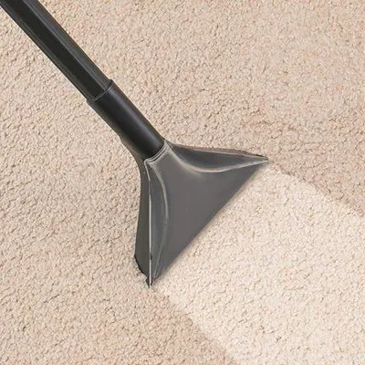 Carpet cleaner profile