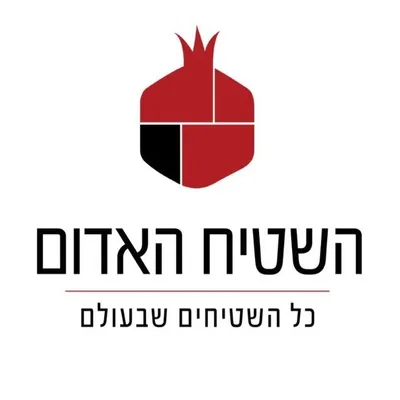השטיח האדום | שטיחים | Red carpet profile