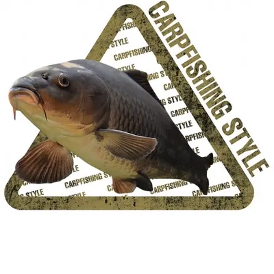 Carp angler Карпфишинг profile
