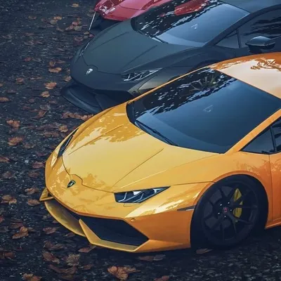 CarRaftaar🚘WALLPAPERS IN STORY profile