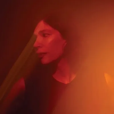 Carrie Brownstein profile