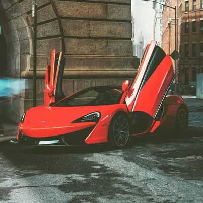 Car lover profile