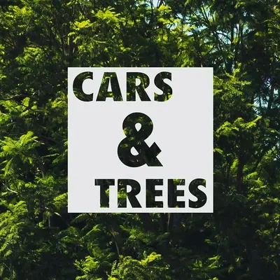 🌴🌲🌳#TreeSquad🌳🌲🌴 profile