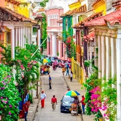 Cartagena Realismo Mágico 💫 profile