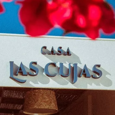 Casa Las Cujas - Chile profile