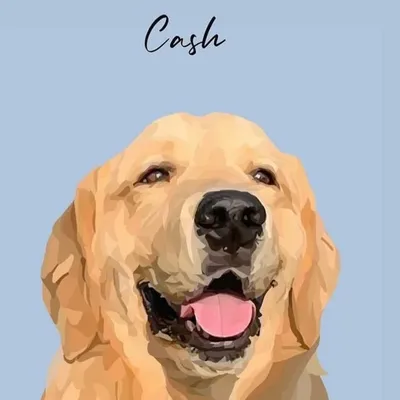 CASH | THE GOLDEN RETRIEVER profile