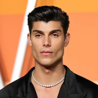 Luca Castellani profile