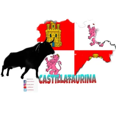 Roberto Castrodeza profile