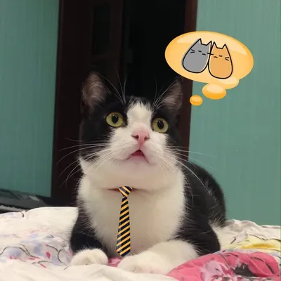 Lucky_prince profile