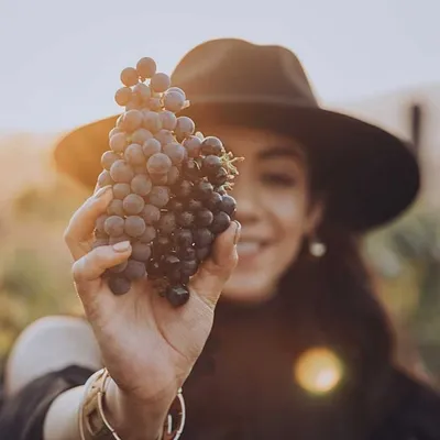 Jessica Kler | Wine Storyteller profile