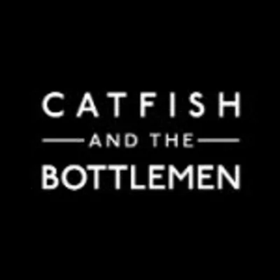 Catfish and the Bottlemen profile