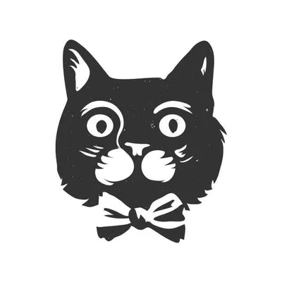 catinberlin profile