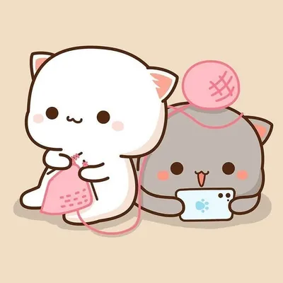 😻Catislove 😻 profile