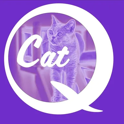 ๐ธ Quintessence cat ๐ธ profile