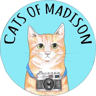Cats of Madison profile