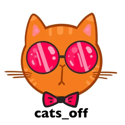 Котики видео | Cats videos profile