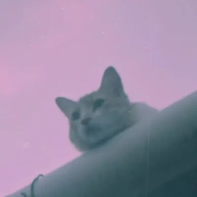๐๐๐ง๐ฆ ๐ข๐ก ๐๐๐๐ profile