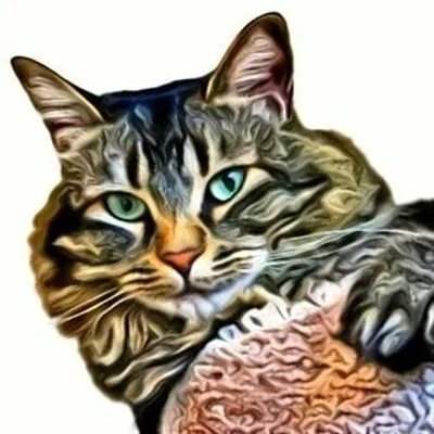 Catsinthepocket profile