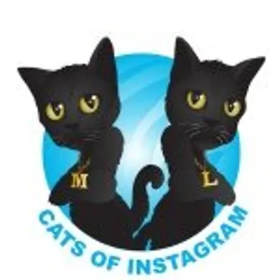 Cats Of Instagram profile