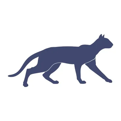 CatStocker ๐ profile