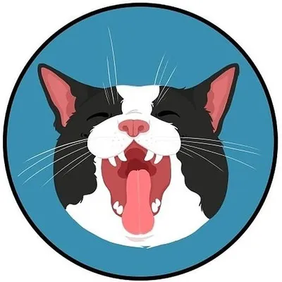 catswiththeirmouthopen profile