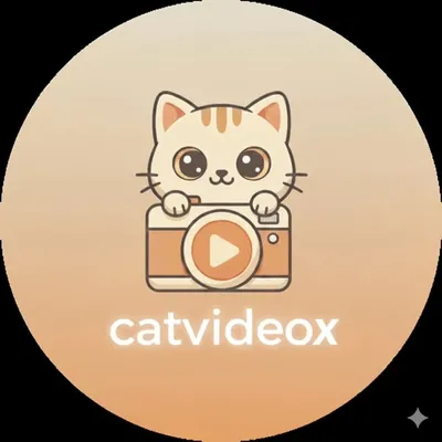 Cat Video๐ฑ๐๐ profile