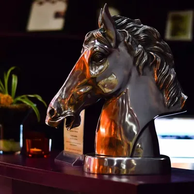 Cavalli Room profile