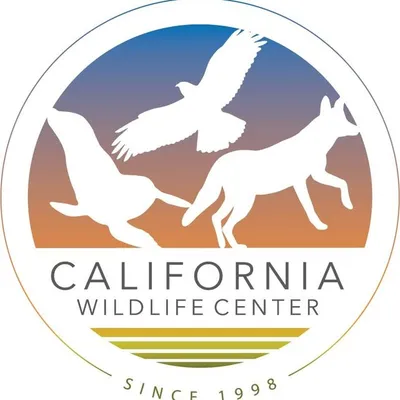 California Wildlife Center profile