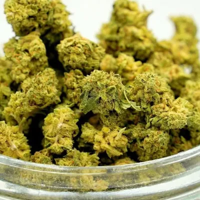 CBD Production | EU profile