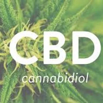 CBD Gesundheit profile