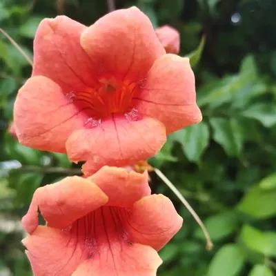 CBEAUG🎀💝 profile