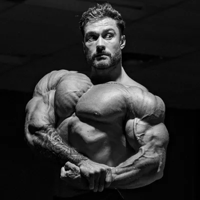 Chris Bumstead profile