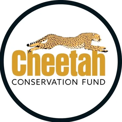 Cheetah Conservation Fund profile